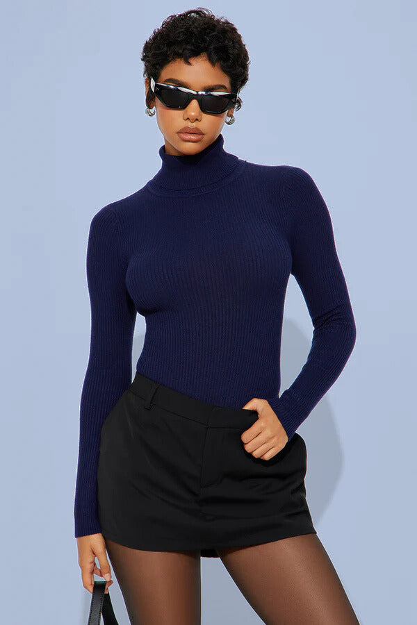 Turtle Neck Sweater