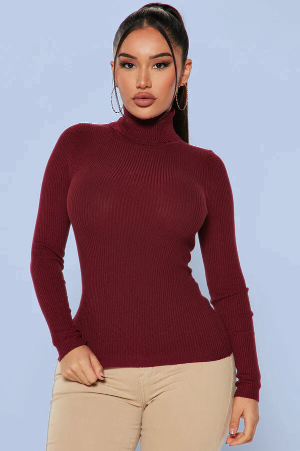 Turtle Neck Sweater